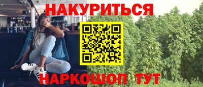 стафф Краснодар