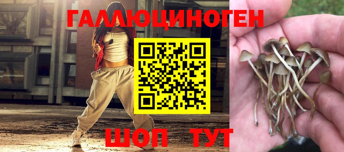 Кохма  Псилоцибиновые грибы Cubensis  Вход с VPN 